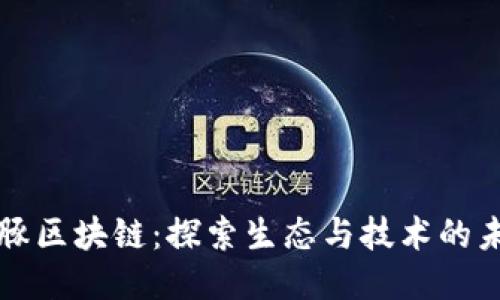 海豚区块链:探索生态与技术的未来