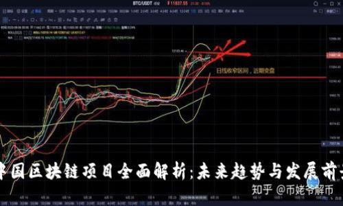 中国区块链项目全面解析：未来趋势与发展前景