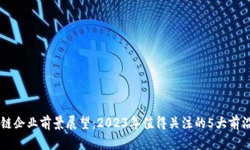区块链企业前景展望：2023年值得关注的5大前沿公司