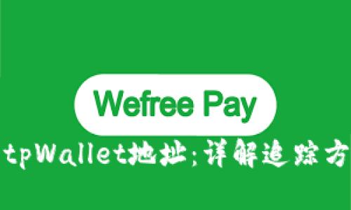 如何追踪tpWallet地址：详解追踪方法与工具
