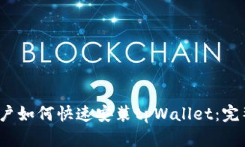 iOS用户如何快速安装tpWallet：完整指南