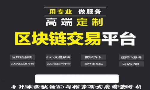 
专升本区块链公司推荐及发展前景分析