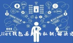 如何找回tpWallet钱包丢失的私钥：解决方案与预防